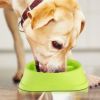 Dog Cat Slow Feeder Bowl Pet No Gulp Feeder Bowl Anti-Bloat Feeding Plate